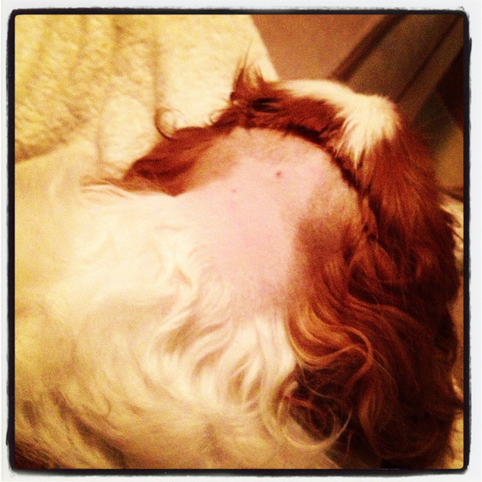 do need prescription get valtrex